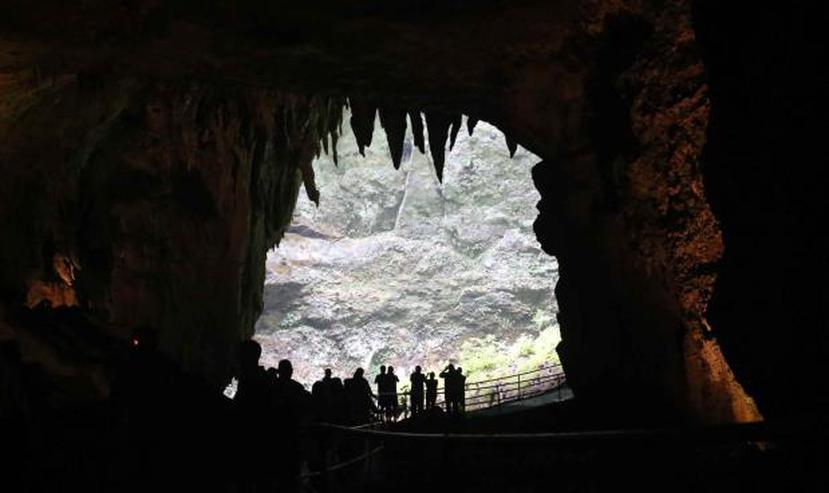 Cavernas del Río Camuy. (Archivo)