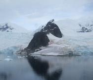 Imagen de un glaciar en la Antártida.