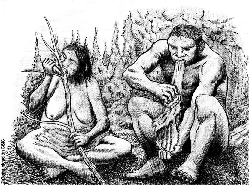El estudio encontró que los neandertales tenían el mismo conocimiento que los Homo sapiens sobre las propiedades combustibles de la madera presentada en la naturaleza bajo distintos estados. (Ilustración archivo / GFR Media)