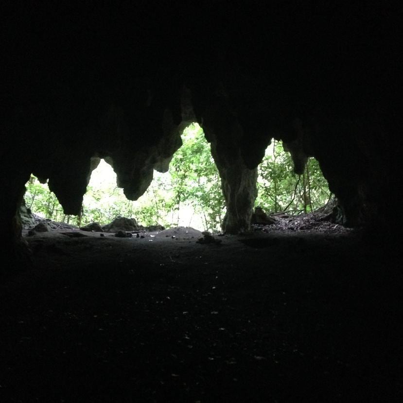En el estudio se analizaron 30 pictografías negras en seis cuevas ubicadas en Morovis, Arecibo, Utuado y Juana Díaz. (Suministrada)