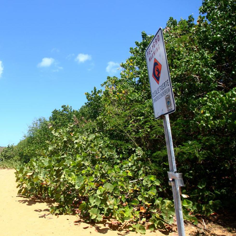La rotulación advirtiendo la peligrosidad de esa zona costera no ha disuadido a decenas de visitantes que anualmente llegan hasta la paradisiaca playa.
