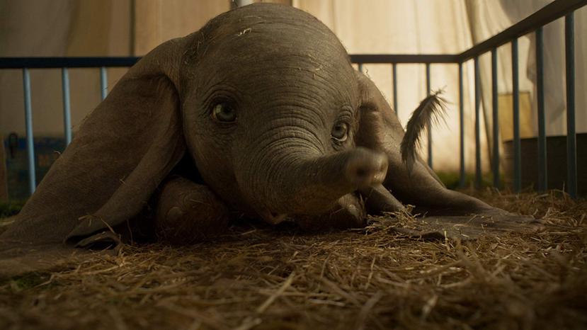 Dumbo se estrenará en marzo del 2019. (IMDb)