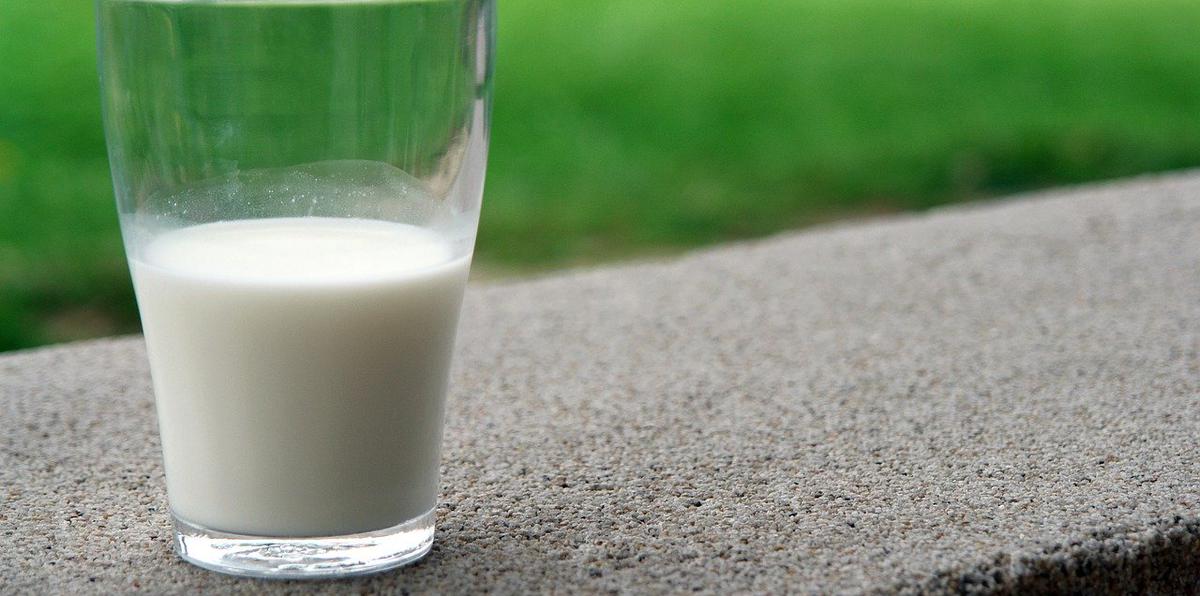 Mientras en la legislatira se radica una medida para legalizar la venta de leche cruda en Puerto Rico, el Departamento de Agricultura inició una investigación para dar con el productor de leche sin procesar con niveles astronómicos de bacterias por mililitro y la presencia de cinco patógenos.