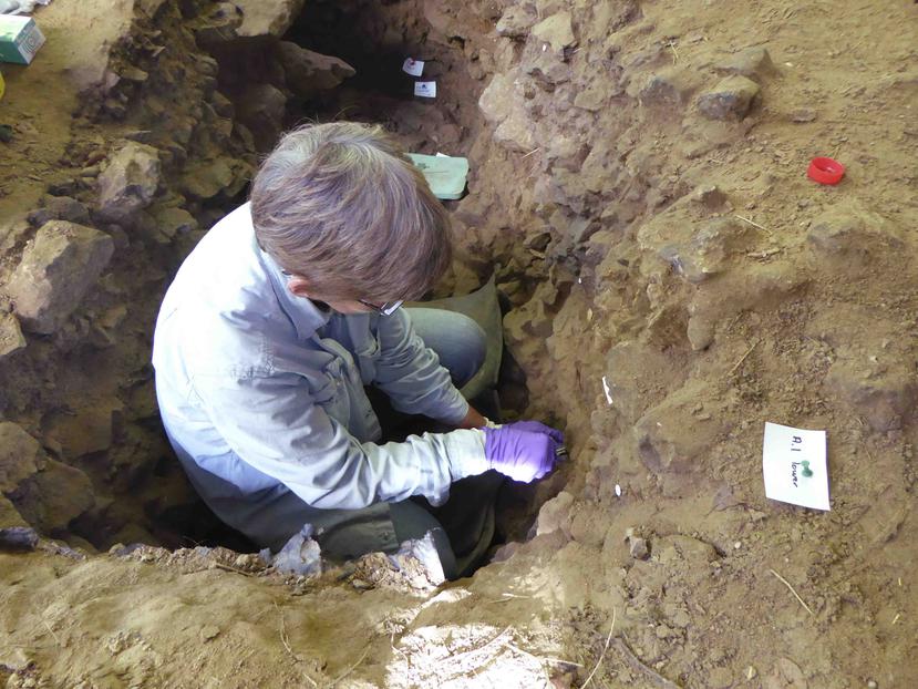 Una de las conclusiones paleontológicas más relevantes del estudio se encontró en la cueva de Denísova (Siberia), donde ya se había documentado previamente la presencia de dos tipos de homininos: neandertales y denisovanos. (AP)