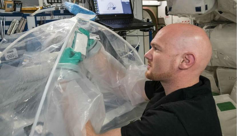 El astronauta de la Agencia Espacial Europea Alexander Gerst trabaja en el experimento MICS a bordo de la Estación Espacial Internacional (NASA).