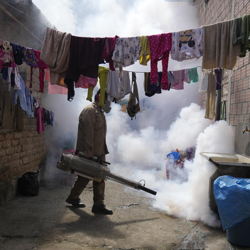 A principios de año, las autoridades de Bolivia encaminaron campañas de asperjación de insecticida para combatir el mosquito que transmite el dengue.