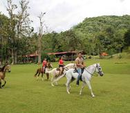 Paseos a caballo en el Parador Villas de Sotomayor, en Adjuntas. (Archivo GFR Media)