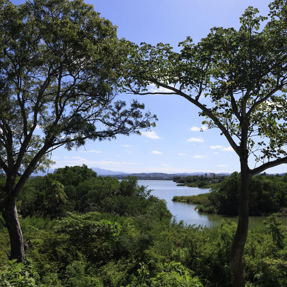 Aunque la restauración de los islotes ha estado entre los objetivos del Plan de Desarrollo Integral de la Península de Cantera por años, la Compañía no ha logrado conseguir el financiamiento necesario.