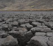 Una corteza seca en el lecho de la laguna de Cconchaccota en la región Apurimac de Perú.