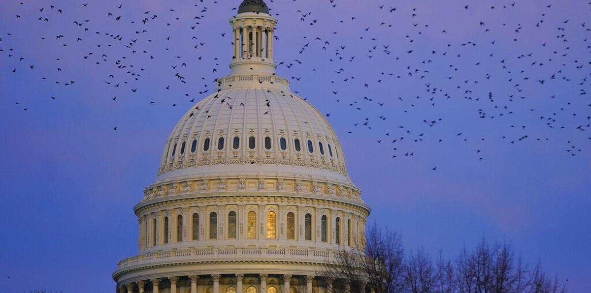 A murmuration of starlings fly past the U.S. Capitol dome as the sun sets on Capitol Hill in Washington, Wednesday, Jan. 4, 2023.