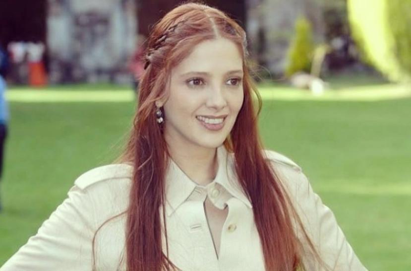 Adela Noriega hizo su última aparición en las telenovelas en el 2008. (Instagram)