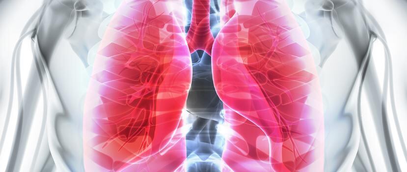 Una de las dificultades del cáncer de pulmón es que tiende a presentarse en una etapa avanzada con  una mortalidad relativamente alta. (Foto Shutterstock)