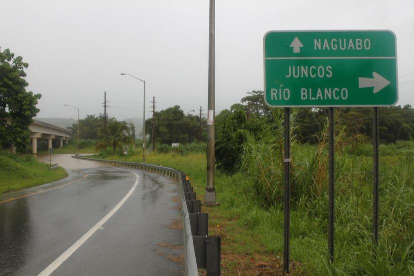 Carretera de Naguabo esperaba desde el 2010 para llevar el nombre de Carmen Delia Dipiní.