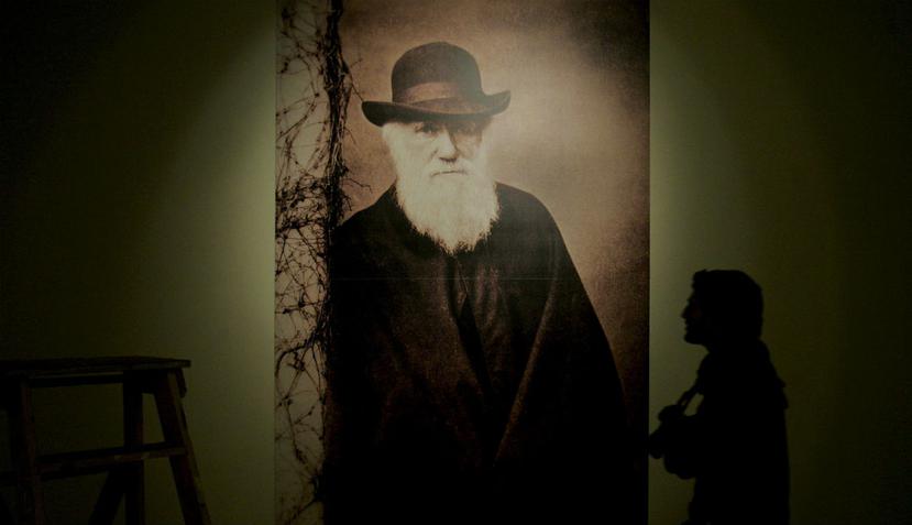Nadie sabe con seguridad qué enfermedad padecía Darwin, aunque se han propuesto varias teorías (EFE).