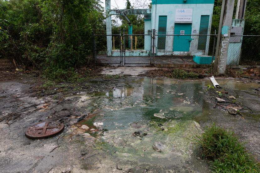 Las descargas de aguas sanitarias de la estación de bombeo caen en la quebrada Los Cedros.
