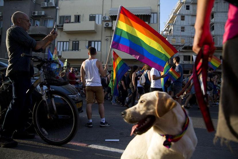 La Corte Suprema de Justicia de Costa Rica votó a favor de habilitar el matrimonio homosexual. (AP)