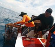 Hasta junio pasado, se habían removido 60,000 libras o 30 toneladas de artes de pesca perdidos o abandonados en aguas boricuas.