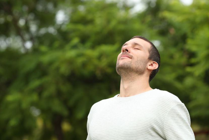 La respiración lenta estimula la parte del sistema nervioso que nos brinda la sensación de calma y seguridad.(Shutterstock)