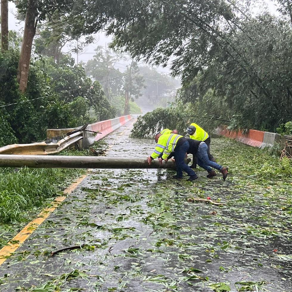 Brigadas del Municipio de Humacao remueven poste de la vía en la PR-60 salida hacia el Hospital Ryder, durante el paso del huracán Fiona.