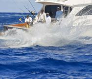La acción pesquera continuó vigorosa en el segundo día del Torneo Internacional de Pesca Aguja Azul del Club Náutico de San Juan
