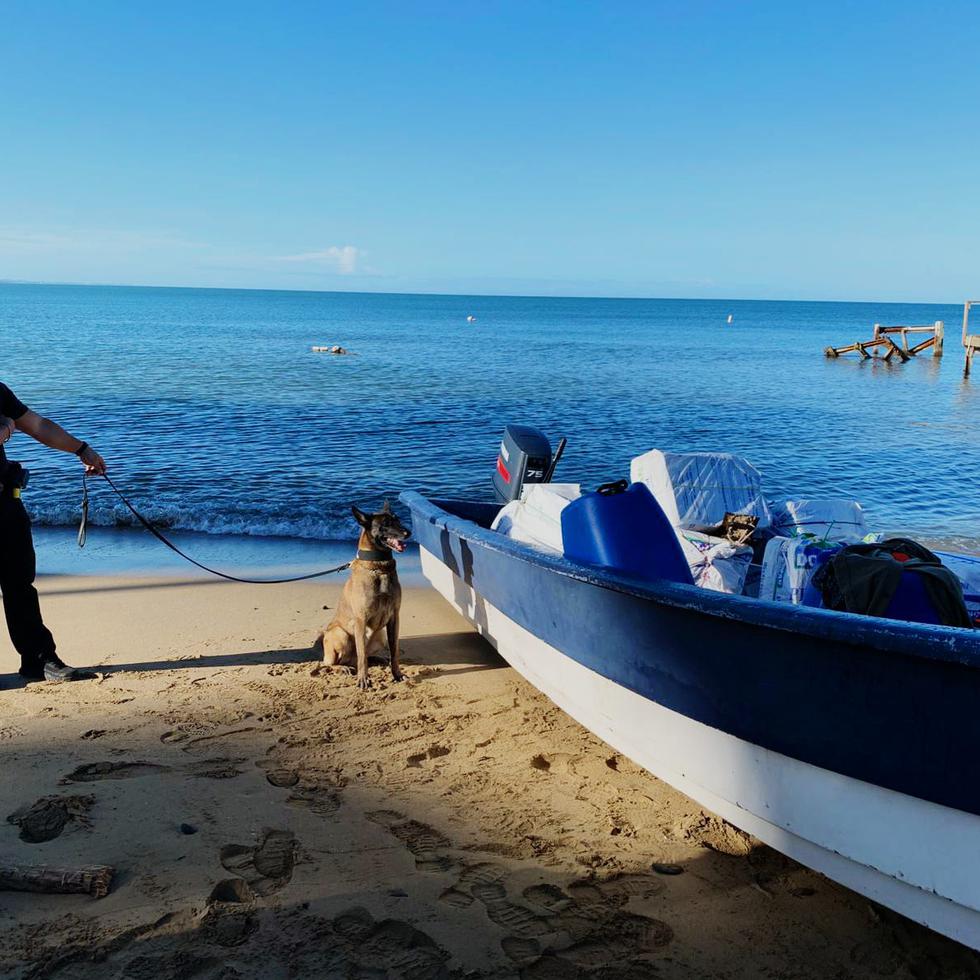 Cinco hombres con estatus migratorio no definido fueron detenidos por las autoridades cuando intentaban acceder a la isla en una yola por el sector Martinica de Aguadilla.
