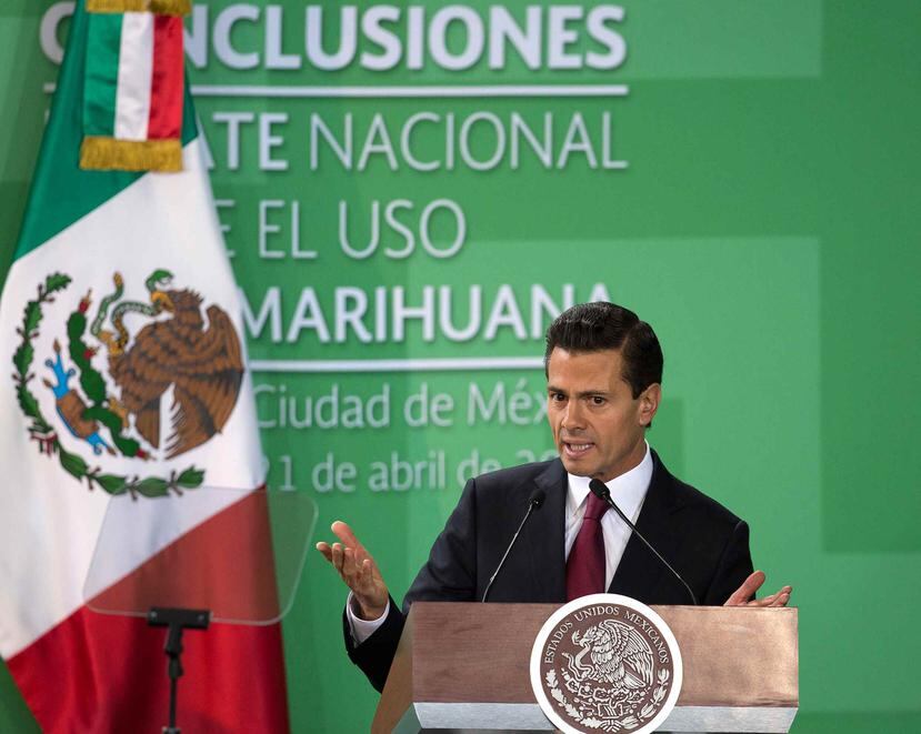 Enrique Peña Nieto presentó hoy el resultado de los foros convocados este año por su Gobierno para debatir sobre la legalización de la marihuana. (EFE)