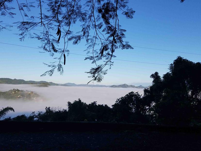 Neblina en el sector Jájome en Cayey.