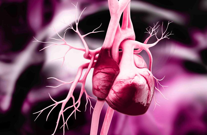 Hay diversas causas para esta arritmia que incluyen desde hipertensión arterial, hasta enfermedad pulmonar, entre otras. (Foto: Shutterstock.com)