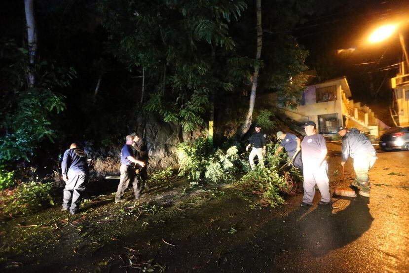 Personal de Manejo de Emergencia Municipal de Comerío remueve un árbol que cayó en la carretera PR-778.