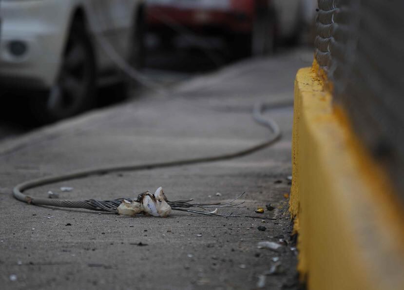 La Policía informó esta noche que Jean Carlos Gutiérrez, de 23 años, recibió una descarga eléctrica cuando hizo contacto con “un cable de alta tensión  de la Autoridad de Energía Eléctrica que se encontraba en el suelo”. (Archivo / GFR Media)
