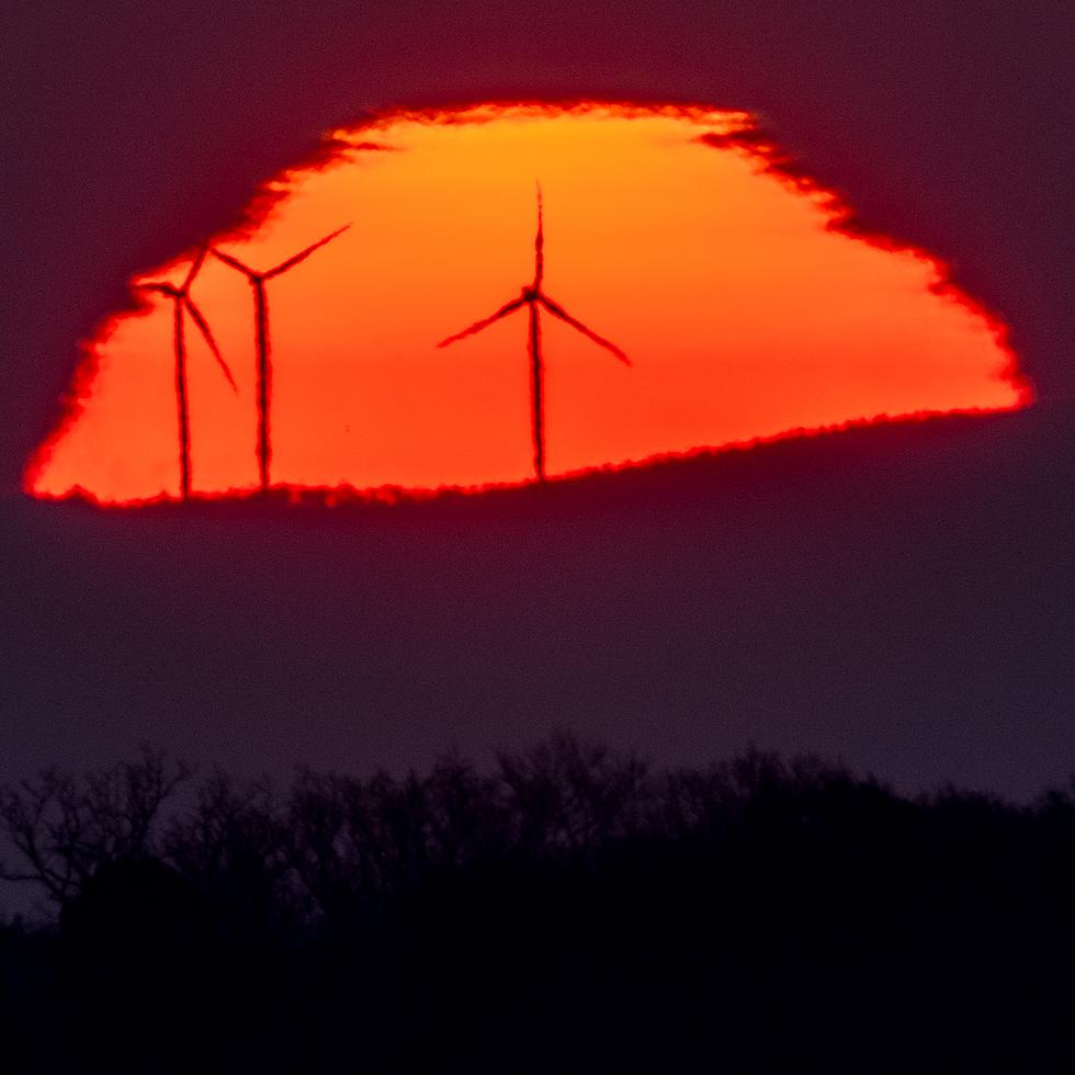 En esta imagen del 11 de marzo de 2022, se ven turbinas eólicas frente al Sol, que sale por el horizonte en Fráncfort, Alemania.