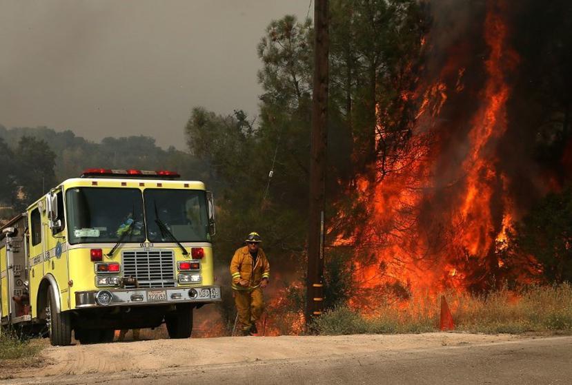 Bomberos de San Francisco se alejan de las llamas. (AFP)