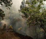 Equipos de emergencias y bomberos trabajan para extinguir las llamas que avanzan por el bosque de La Orotava en Tenerife, Islas Canarias, España, el sábado 19 de agosto de 2023.  (AP Foto/Arturo Rodriguez)