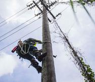 El huracán María dejó la mayoría de la infraestructura eléctrica del país hecha añicos. (GFR Media)