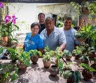 La familia Lazzu Hernandez utilizan el coco en todas sus partes, hacen tiestos, prendas, abono para plantas y postres. En la foto: Rosaura Hernández y José Lazzu y detrás Christian y Juan, en el area del vivero.