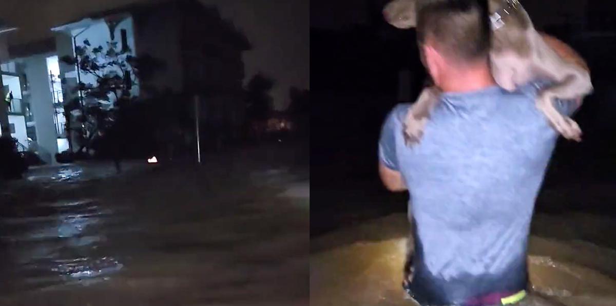 Hombre carga a su perro bajo la furia del huracán Ian en Florida