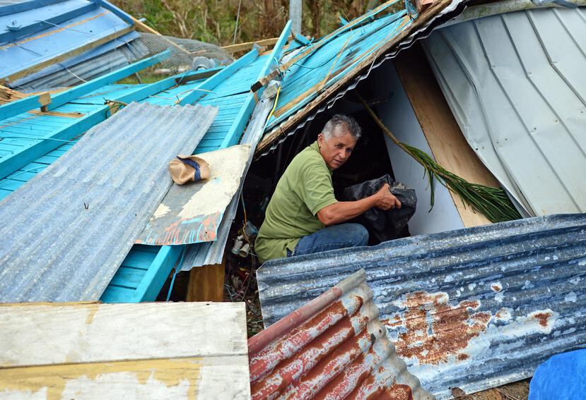 Varias personas limpian áreas de Jayuya afectadas por el Huracán María.