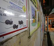 Una advertencia de veneno para ratas es visto en un callejón en Hong Kong. (AP / Kin Cheung)