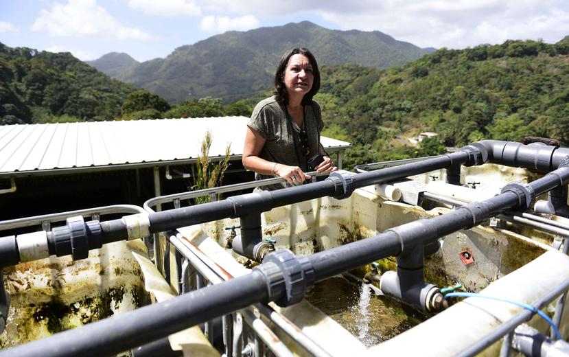 La doctora Ramírez Toro se especializa en recursos de agua y agua potable. (GFR Media)