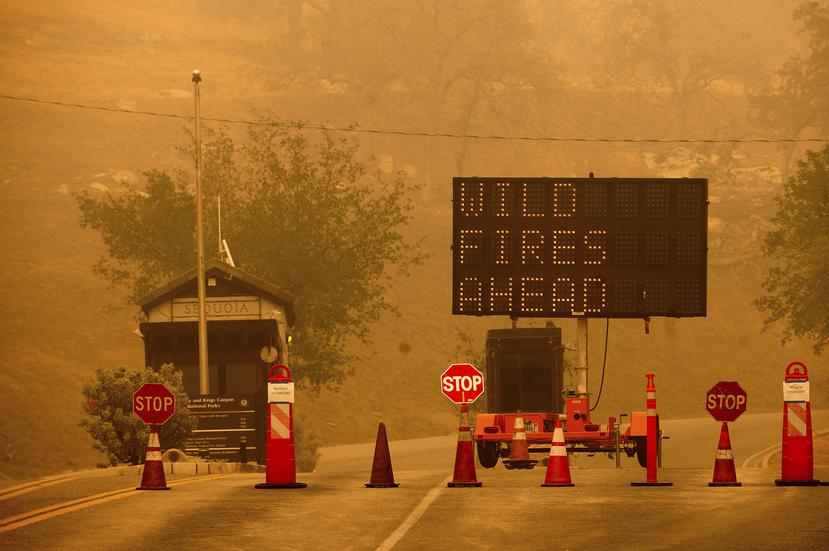 Un incendio forestal arde cerca del Bosque Gigante, hogar de más de 2,000 secuoyas gigantes.