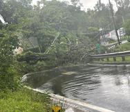 Foto del portal de Facebook del Municipio de Naranjito que muestra parte de los daños ocasionados en la carretera PR-152.
