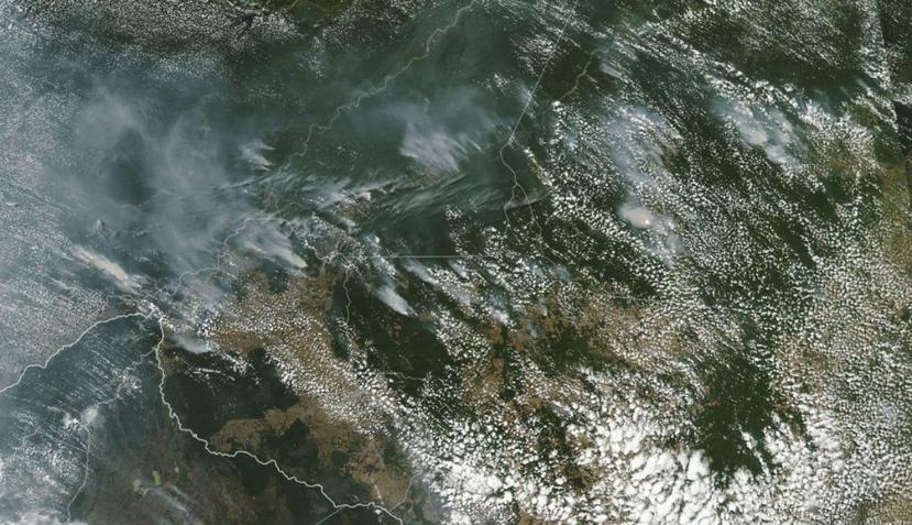 La situación es tan grave que el humo de los incendios de la zona ha llegado a Sao Paulo, a más de 1,600 millas de distancia (Nasa Earth Observatory).
