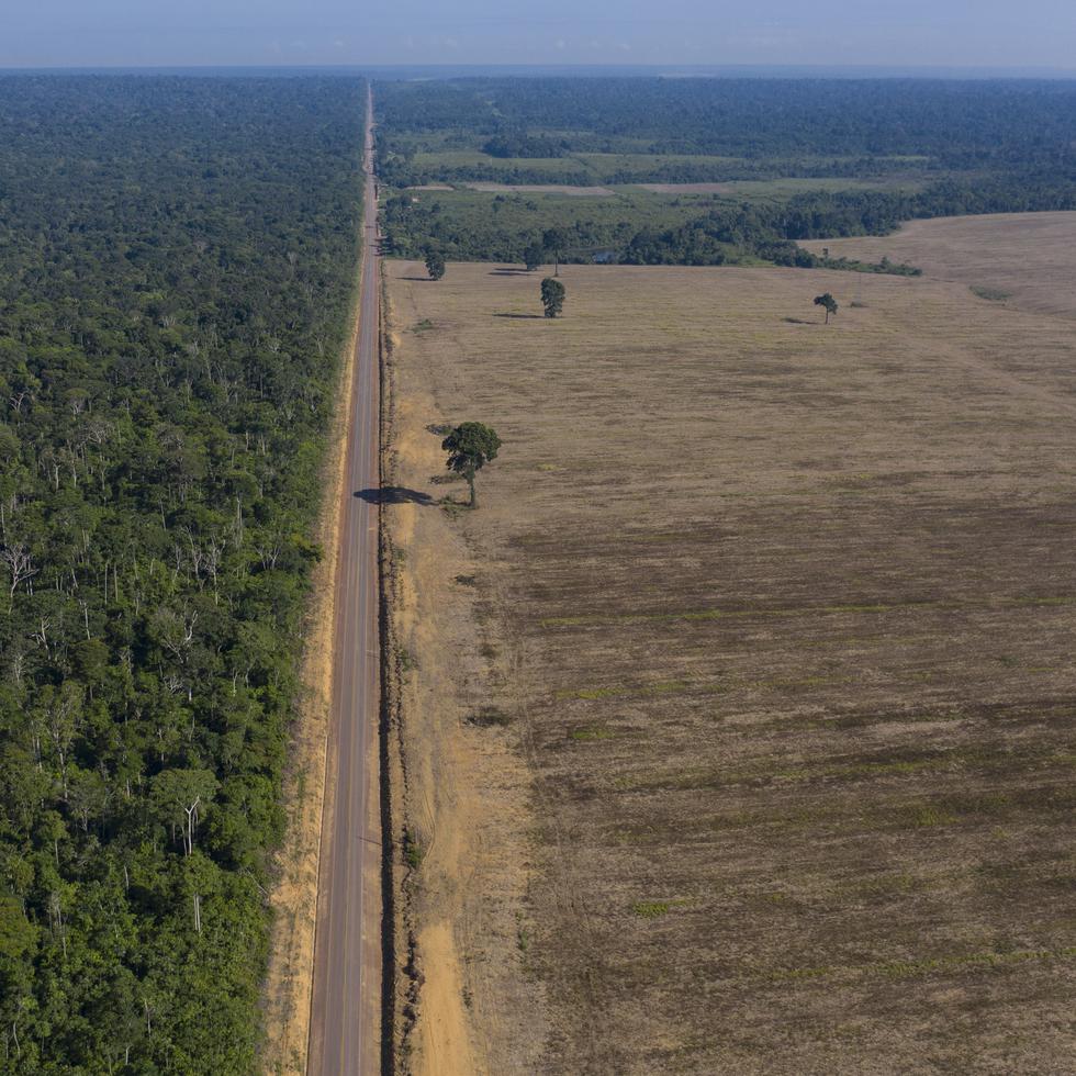 ARCHIVO - En esta foto de archivo del 25 de noviembre de 2019 se ve la ruta BR-163 entre el Bosque Nacional de Tapajos, izquierda, y un campo de soya en Belterra, estado de Pará, Brasil. (AP Foto/Leo Correa, Archivo)