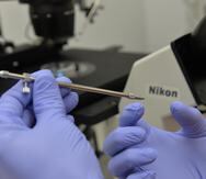 Más de un millón de estadounidenses han sido concebidos en procesos de fecundación in-vitro.
