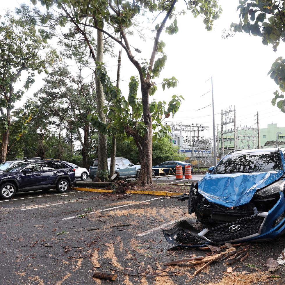 =El personal del Negociado del Cuerpo de Bomberos y de la Oficina de Manejo de Emergencias del Municipio de San Juan llegó a la escena para colaborar en la tarea de trozar y recoger el tronco del árbol caído en el estacionamiento.