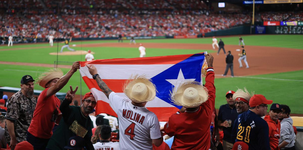 Fanáticos puertorriqueños en el Busch Stadium en apoyo al receptor boricua Yadier Molina en su última serie de temporada regular en San Luis.
