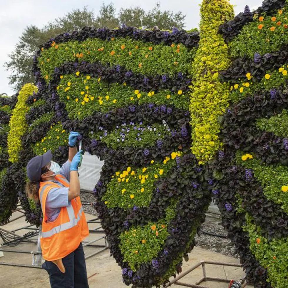 El Festival Internacional Anual de Flores y Jardines de Epcot despliega millones de flores en este parque del recinto de Walt Disney World, del 2 de marzo al 4 de julio.