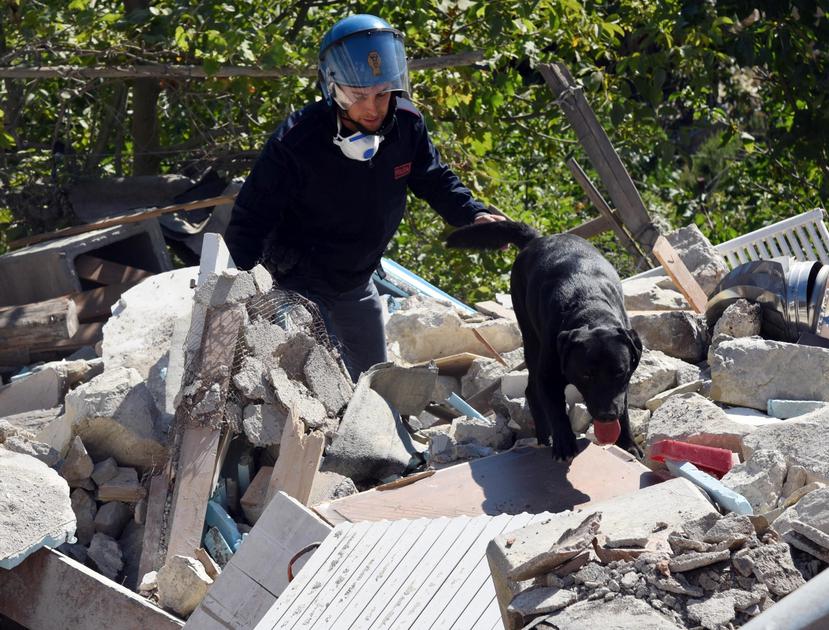 El perro Leo y un policía trabajan entre los escombros de un edificio derrumbado en Pescara del Tronto, en el centro de Italia. (EFE / Gian Matteo Crocchioni)