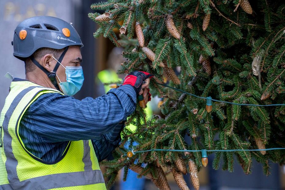 The tree will remain installed until the beginning of January.