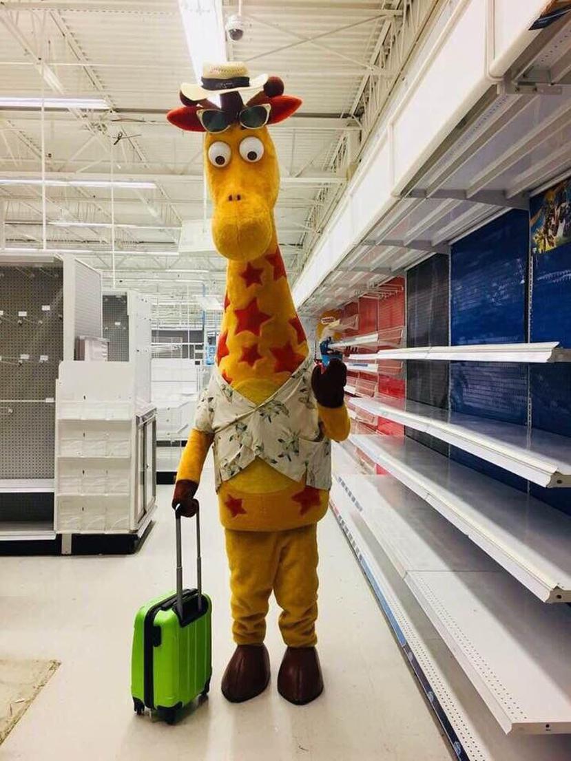 Una foto de Geoffrey con una maleta ronda en redes. (@BrantGNR)
